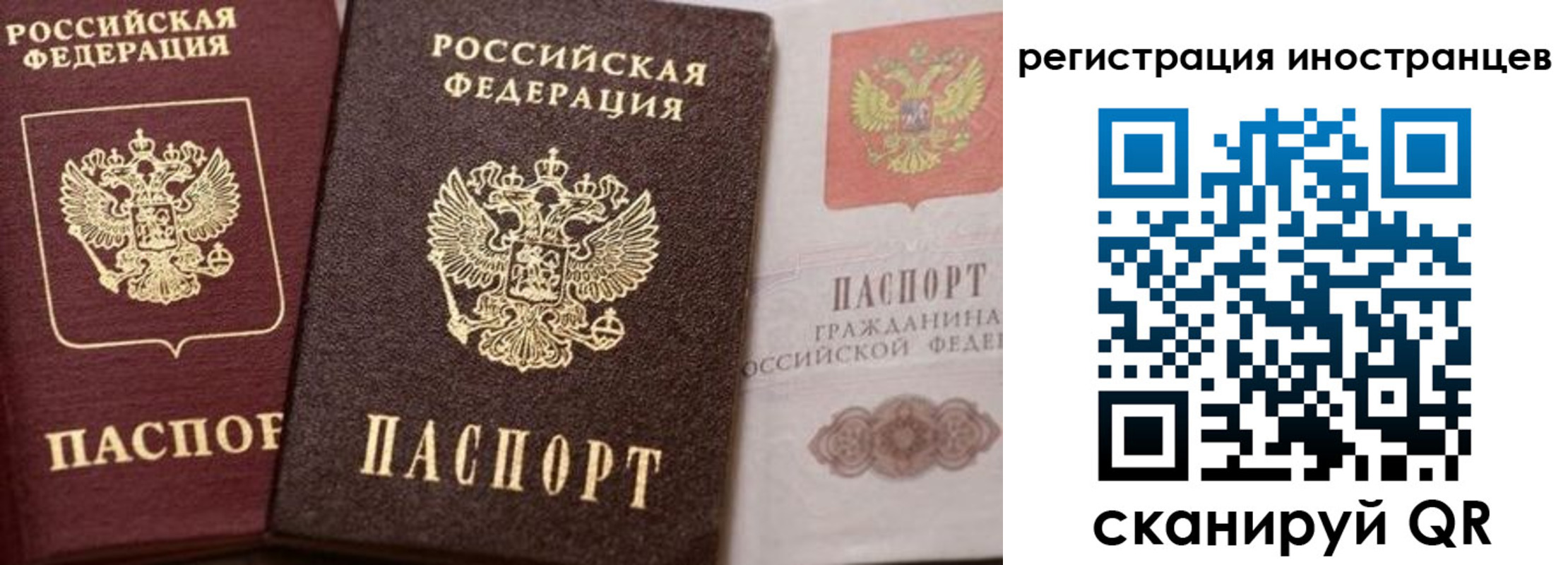 временная регистрация купить в Павловске