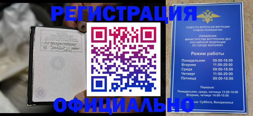 где прописаться в Павловске