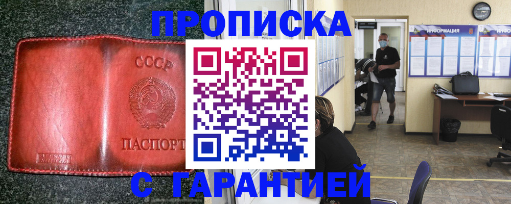 прописка гарантия в Павловске